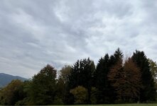 IMG_6761.jpg