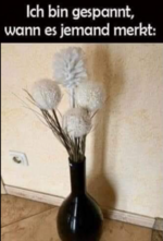 Screenshot 2023-09-25 080923.png