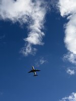 IMG_0488.jpeg