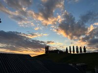 IMG_2571.jpeg