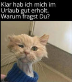 Screenshot 2023-09-30 215649.png