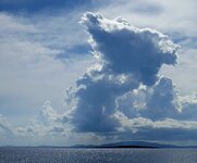 20240613_163146(1).jpg