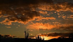 DSC_6937.jpg