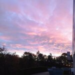 IMG_20251023_073510.jpg