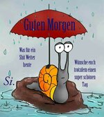 Guten Morgen Shitwetter.jpg