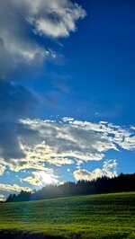 20251024_164126.jpg
