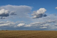 DSC_4030.jpg