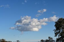 DSC_4031.jpg