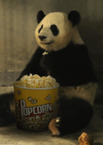 giphy-4.gif