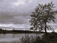 An der schönen grauen Donau.jpg