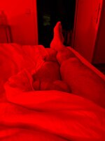 IMG_8790.jpeg