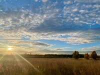 IMG_1146.jpeg