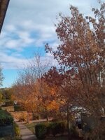 IMG_20251026_085531_HDR.jpg