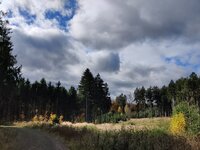 IMG_20251026_103847.jpg