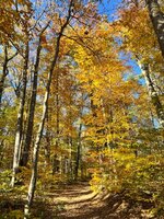 IMG_4880.jpeg