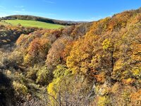 IMG_4889.jpeg