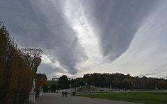 DSC_4929.jpg