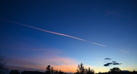 DSC_5334.jpg