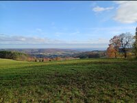 Screenshot_20251101_163910_Gallery.jpg Screenshot_20251101_163910_Gallery.jpg