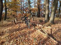 Screenshot_20251101_163530_Gallery.jpg Screenshot_20251101_163530_Gallery.jpg