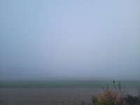 20251102_063853.jpg