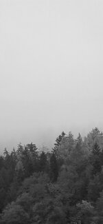 20251102_092346.jpg