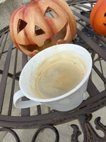 IMG_1041.jpeg