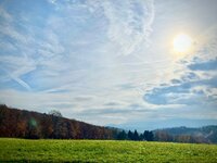 IMG_4929.jpeg IMG_4929.jpeg