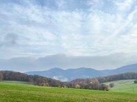 IMG_4932.jpeg IMG_4932.jpeg