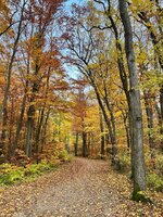 IMG_4933.jpeg IMG_4933.jpeg