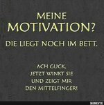 IMG_3182.jpeg