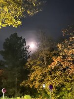 IMG_2590.jpeg