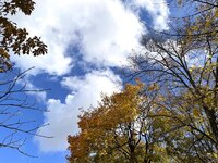 IMG_3999.jpeg