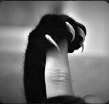 main-qimg-cbb3e73d07d684022163f06a6aa3a659.jpeg