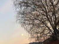 IMG_6877.jpg