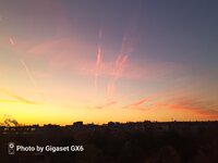 IMG_20251105_062629_660.jpg