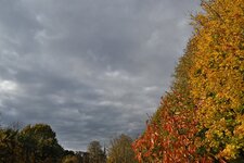 DSC_5229.jpg