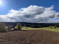 IMG_20251026_095647.jpg