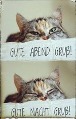 1000070441.jpg 1000070441.jpg