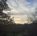 IMG_4006.jpeg