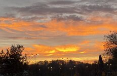IMG_4008.jpeg