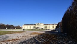 DSC_7334.jpg