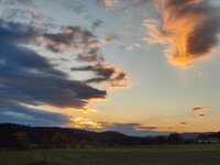 IMG_20251018_175354.jpg