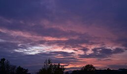 DSC_7666.jpg