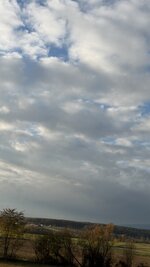 IMG_1774.jpeg