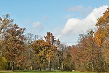 DSC_7763.jpg