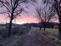 IMG_20251108_163158.jpg