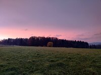 IMG_20251108_163217.jpg