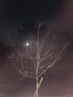 IMG_6880.jpg