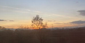IMG_4014.jpeg